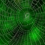Netz